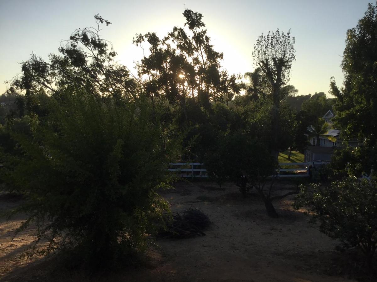 Beautiful New Detached Casita Nestled In Scenic Southern Ca Foothills! ฟอลล์บรูค ภายนอก รูปภาพ
