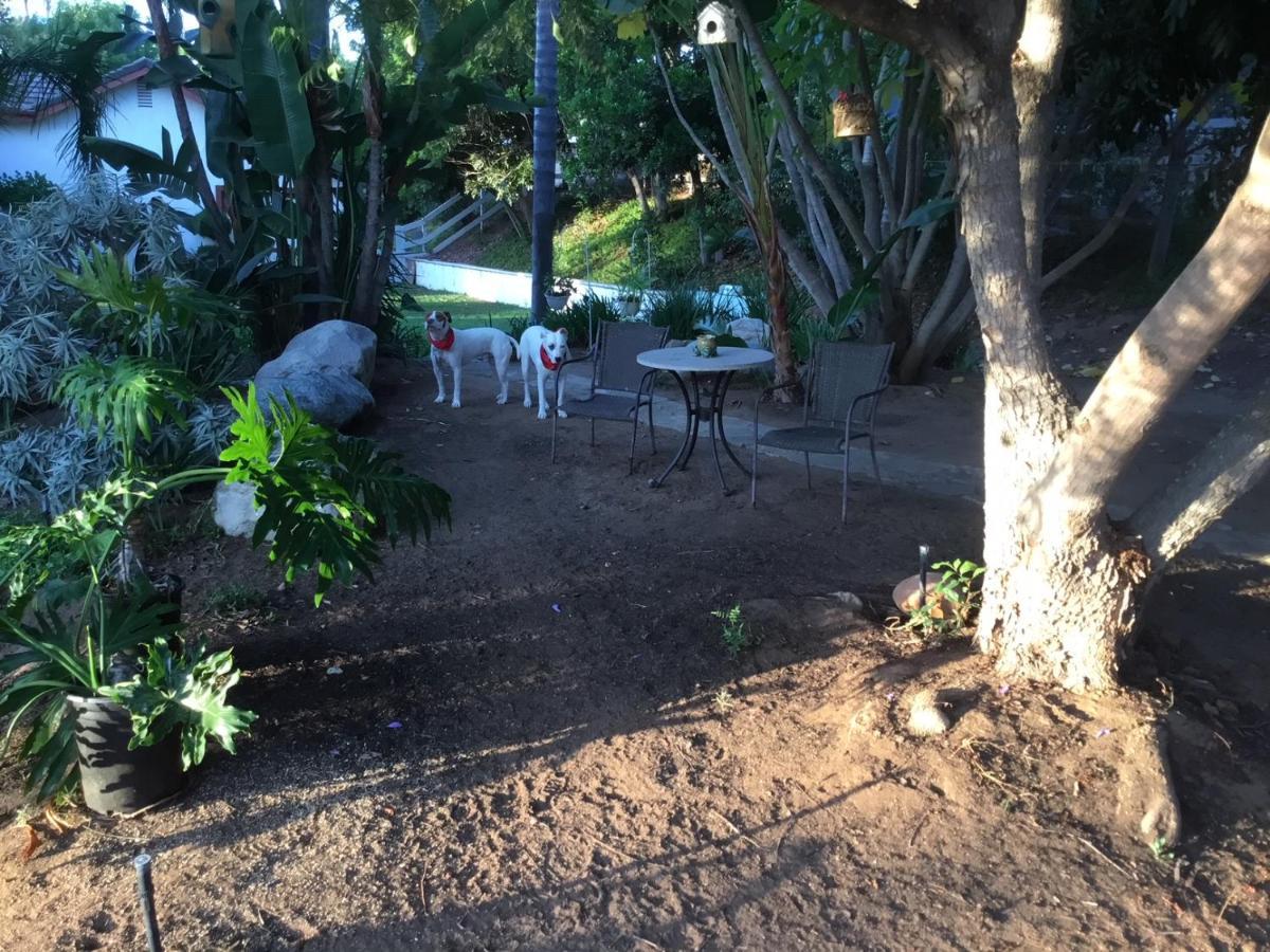 Beautiful New Detached Casita Nestled In Scenic Southern Ca Foothills! ฟอลล์บรูค ภายนอก รูปภาพ